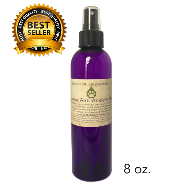 Why Do Dogs Lick Their Paws? Olia Essential Oils for Pets