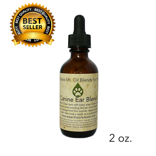 Can Frankincense Kill Cancer and build Immunity? Olia Essential Oils for Pets