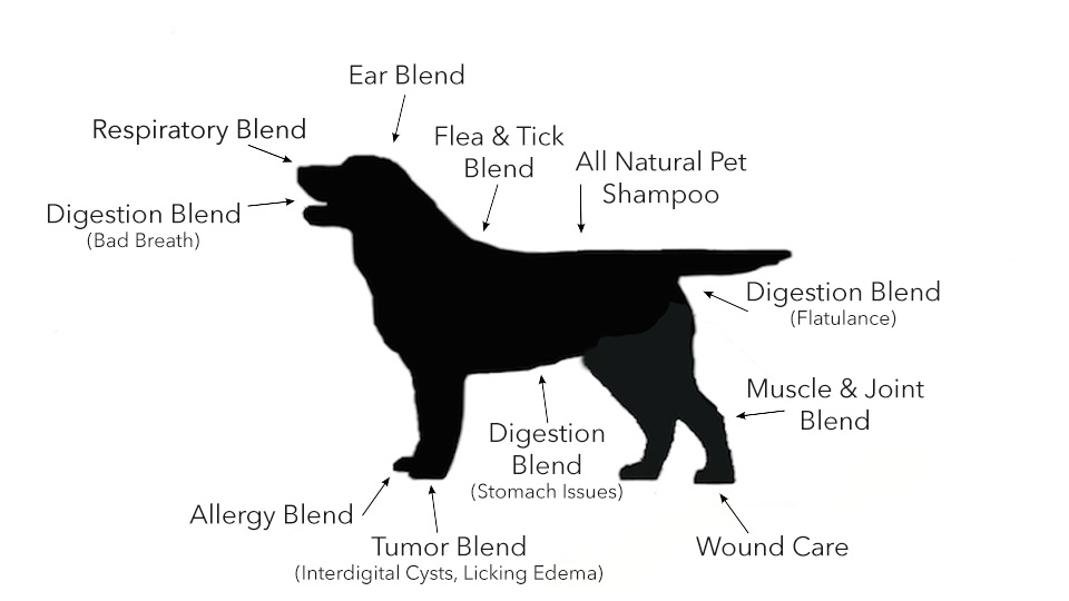 mapping the uses of essential oil blends