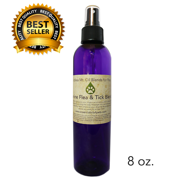 How Can Essential Oils Help Prevent Parasites? Olia Essential Oils