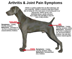 aaa joint pain graphic