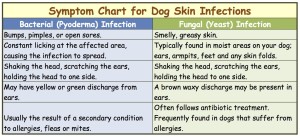 dog-skin-infection-symptom-chart