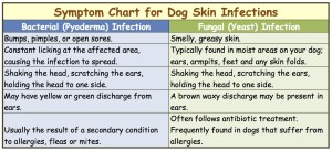 dog-skin-infection-symptom-chart