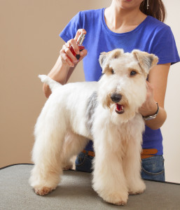 groomers find Anti-Anxiety blend calms their clients!